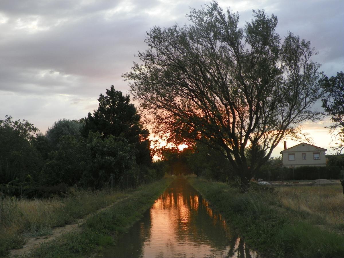 El Rincon De Los Abuelos Tudela de Duero エクステリア 写真